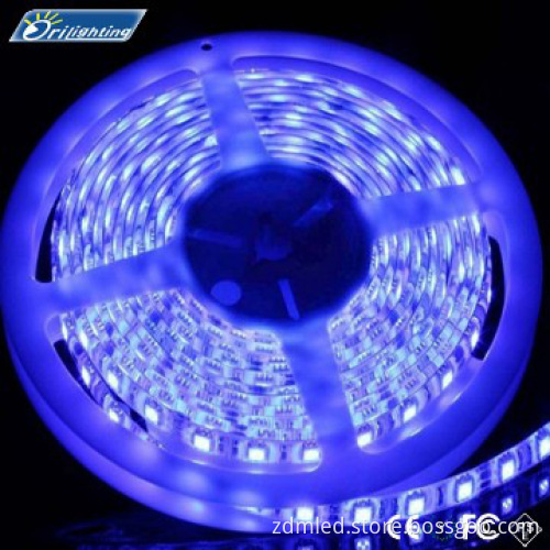 Long lifespan 3000k 5050 smd led strip light ROHS CE FCC PSE approval